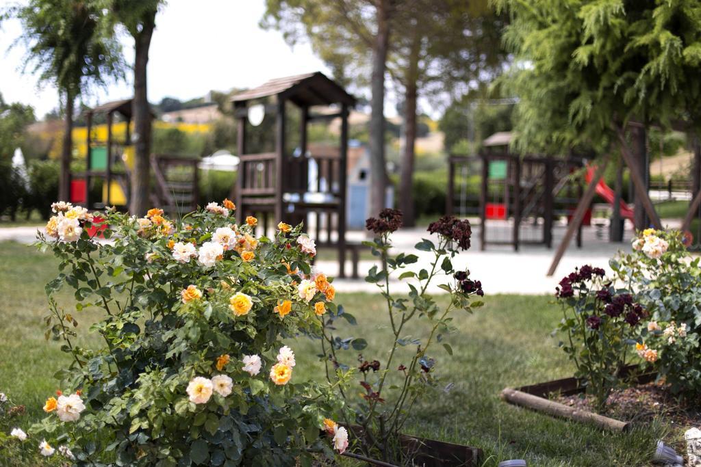 Agriturismo La Cantina Di Bacco Pensionat Loretello Exteriör bild